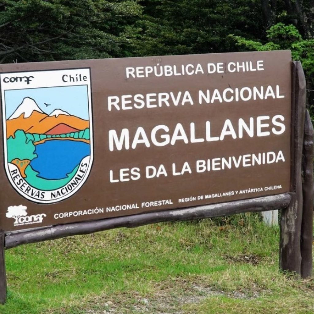 La Reserva Nacional Magallanes, creada en 1932, está ubicada en la Región de Magallanes y Antártica Chilena, en la Península de Brunswick, 7 km al oeste del centro de la ciudad de Punta Arenas.